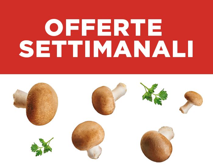 OFFERTE SETTIMANALI SUPER FRESCHE