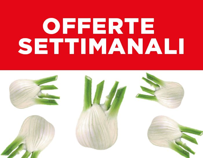 OFFERTE SETTIMANALI SUPER FRESCHE
